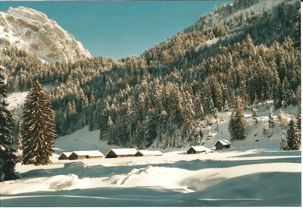 Ferienhaus Gubel Alt St. Johann Екстериор снимка